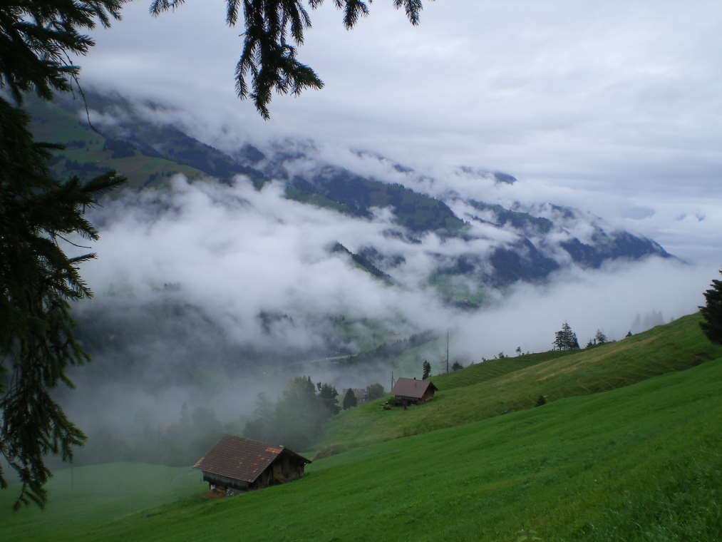 Immer noch Regen