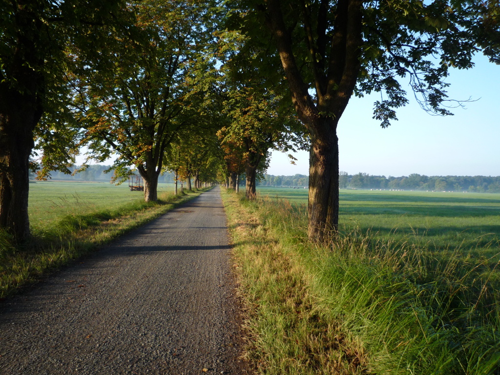 Mönchbruch