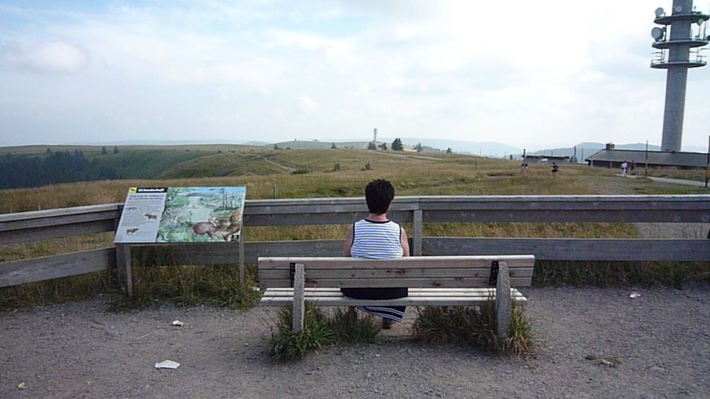 Auf dem Feldberg