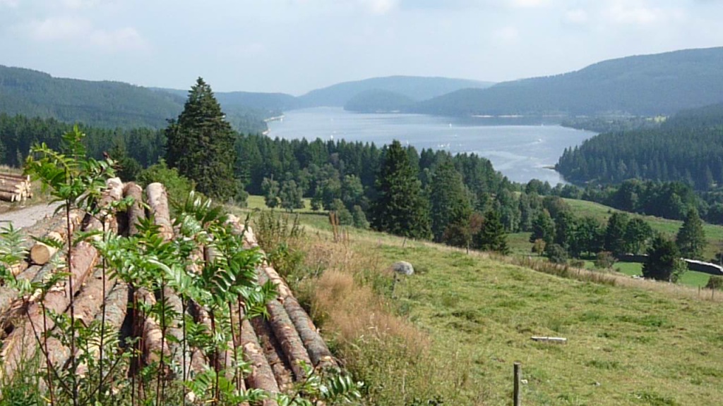 Schluchsee