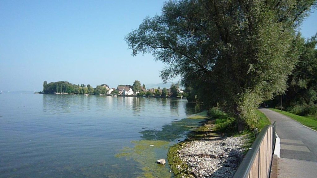 Bodensee bei Arbon
