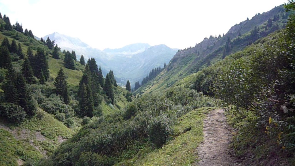Alpen bei Damüls